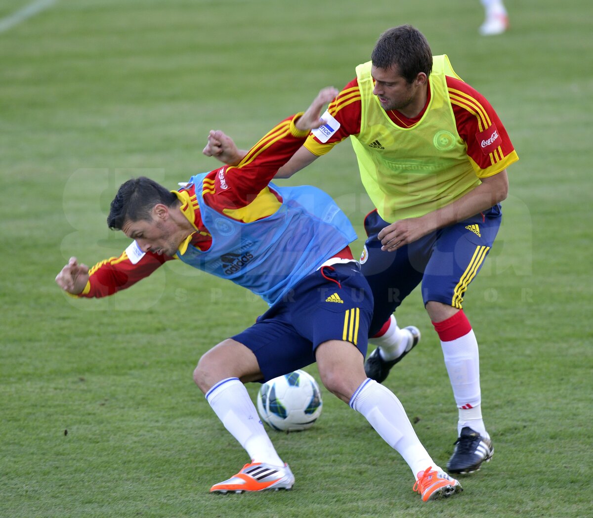 FOTO Cu ei speriem Turcia şi Olanda » Mutu, Marica şi Tamaş, arţăgoşi la antrenament