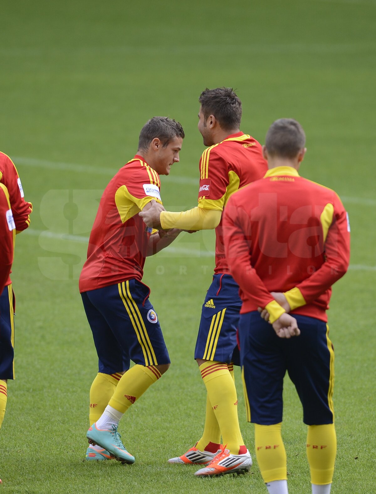 Mutu flower power » "Briliantul" s-a luptat cu Torje şi l-a imitat pe Ibrahimovici ;)