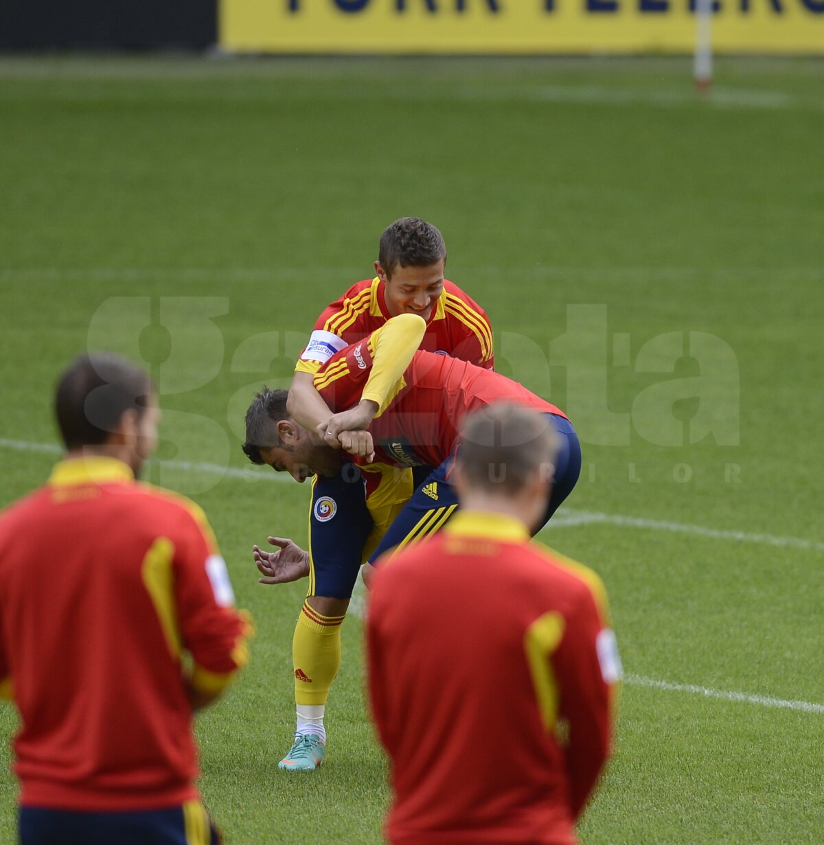 Mutu flower power » "Briliantul" s-a luptat cu Torje şi l-a imitat pe Ibrahimovici ;)