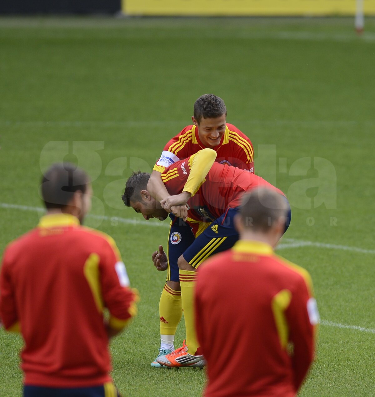 Mutu flower power » "Briliantul" s-a luptat cu Torje şi l-a imitat pe Ibrahimovici ;)