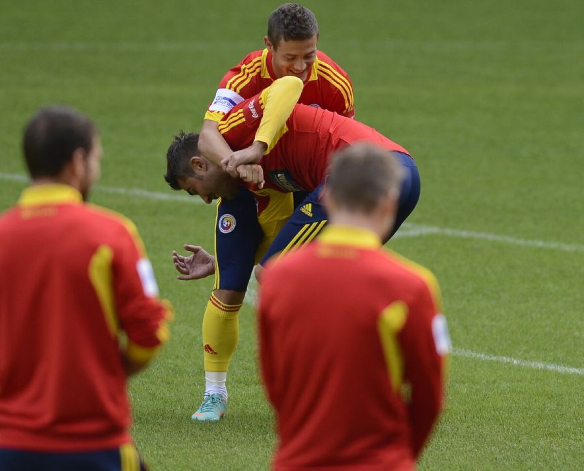 Mutu flower power » "Briliantul" s-a luptat cu Torje şi l-a imitat pe Ibrahimovici ;)