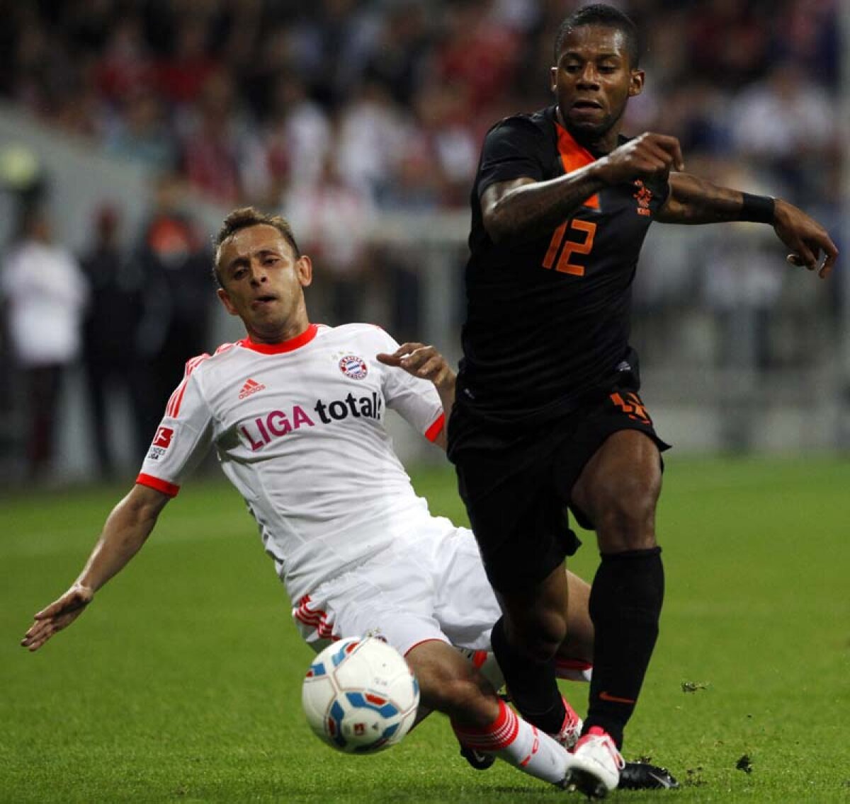 Atenţie la “panterele” din Surinam! » Ei reprezintă marile pericole ale Olandei