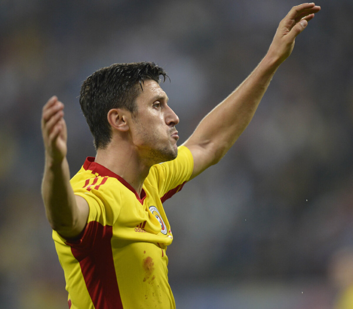 VIDEO Killer instinct » Gazeta i-a monitorizat aseară pe oamenii de gol din cele două tabere: Marica şi Van Persie