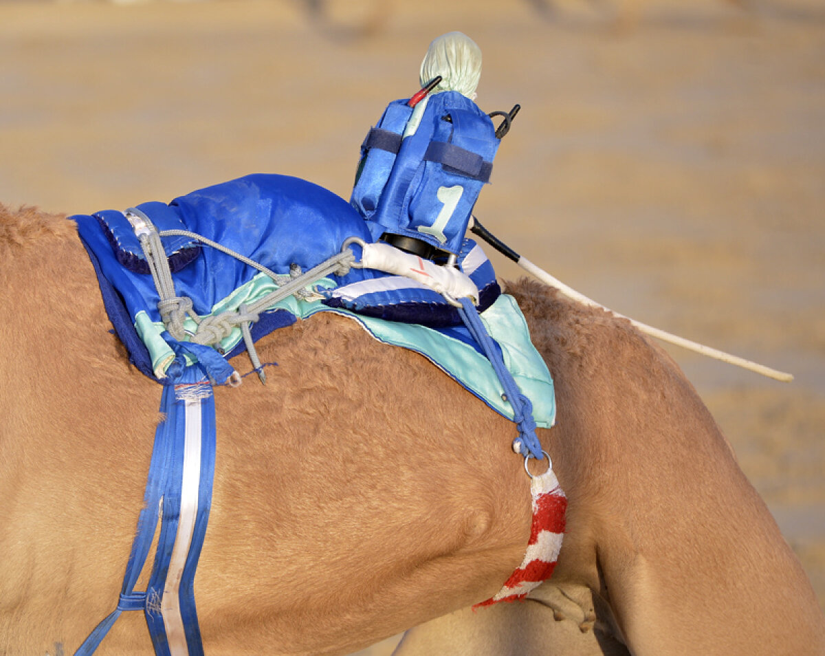 FOTO PlayStation pentru beduini » Cursele de cămile de la Al-Shahaniya oferă un spectacol incredibil la marginea deşertului