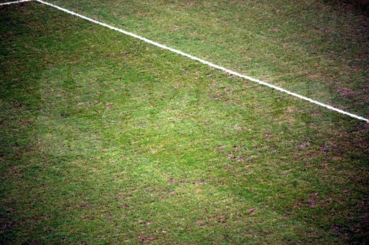FOTO EXCLUSIV De sus poezie, de jos orezărie! » Meciul anului pentru Steaua va avea parte de un gazon mizerabil