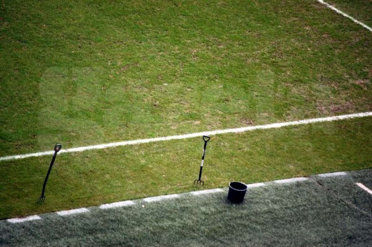 FOTO EXCLUSIV De sus poezie, de jos orezărie! » Meciul anului pentru Steaua va avea parte de un gazon mizerabil