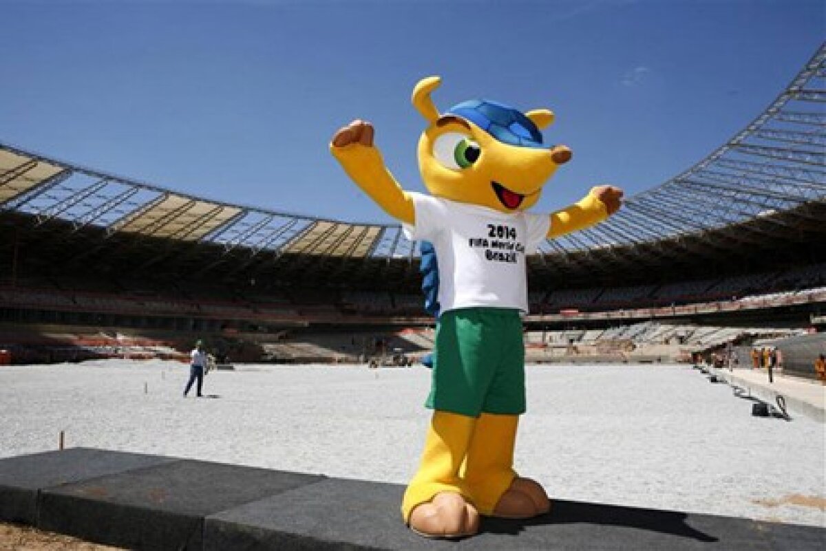 Fuleco este mascota Campionatului Mondial din Brazilia