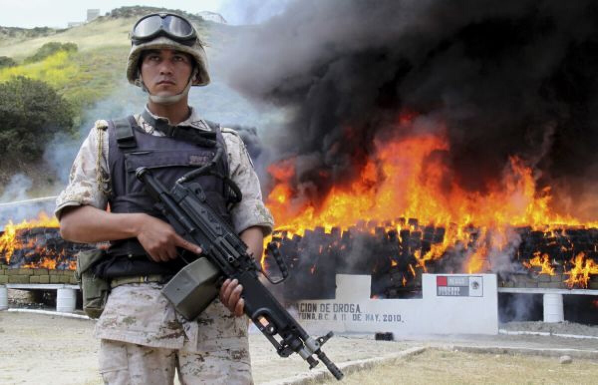 Marijuana fotbalului » Tijuana are cel mai puternic ”drog” din Mexic