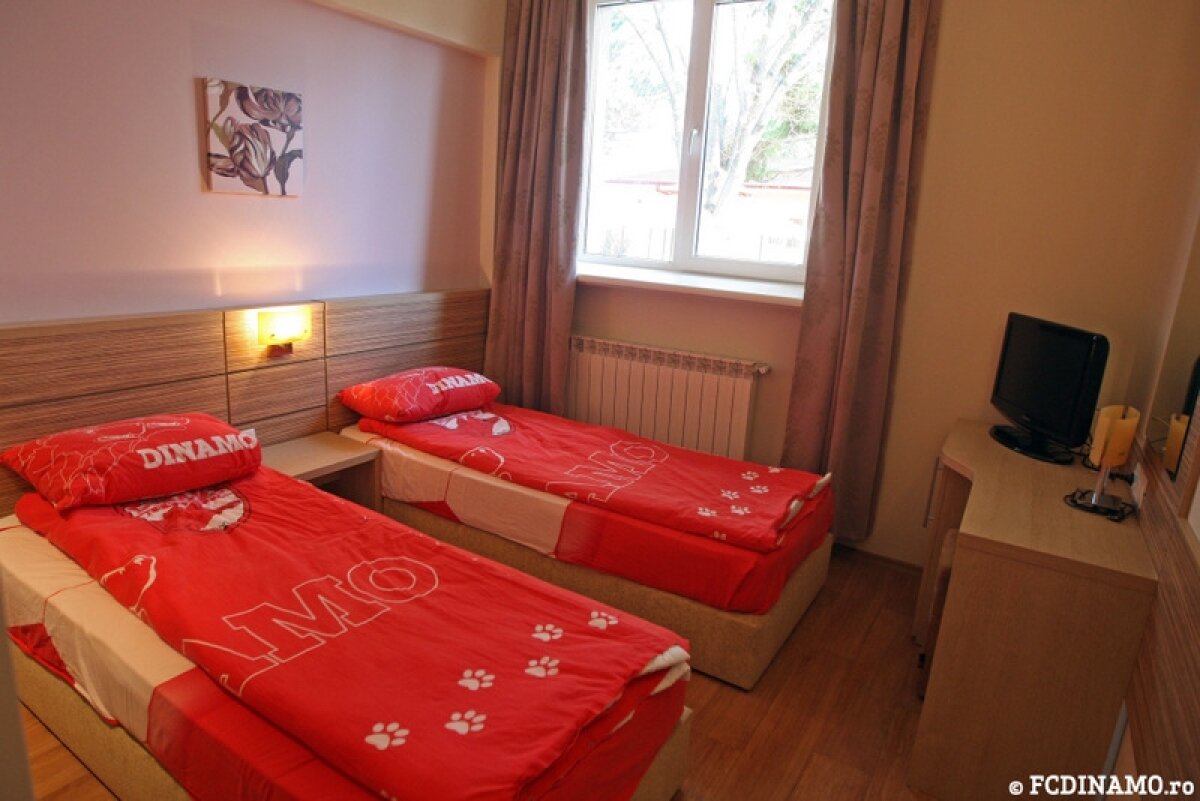 Neplătiţi de mai mult timp, "cîinii" pot dormi liniştiţi » Săftica arată ca un hotel de lux