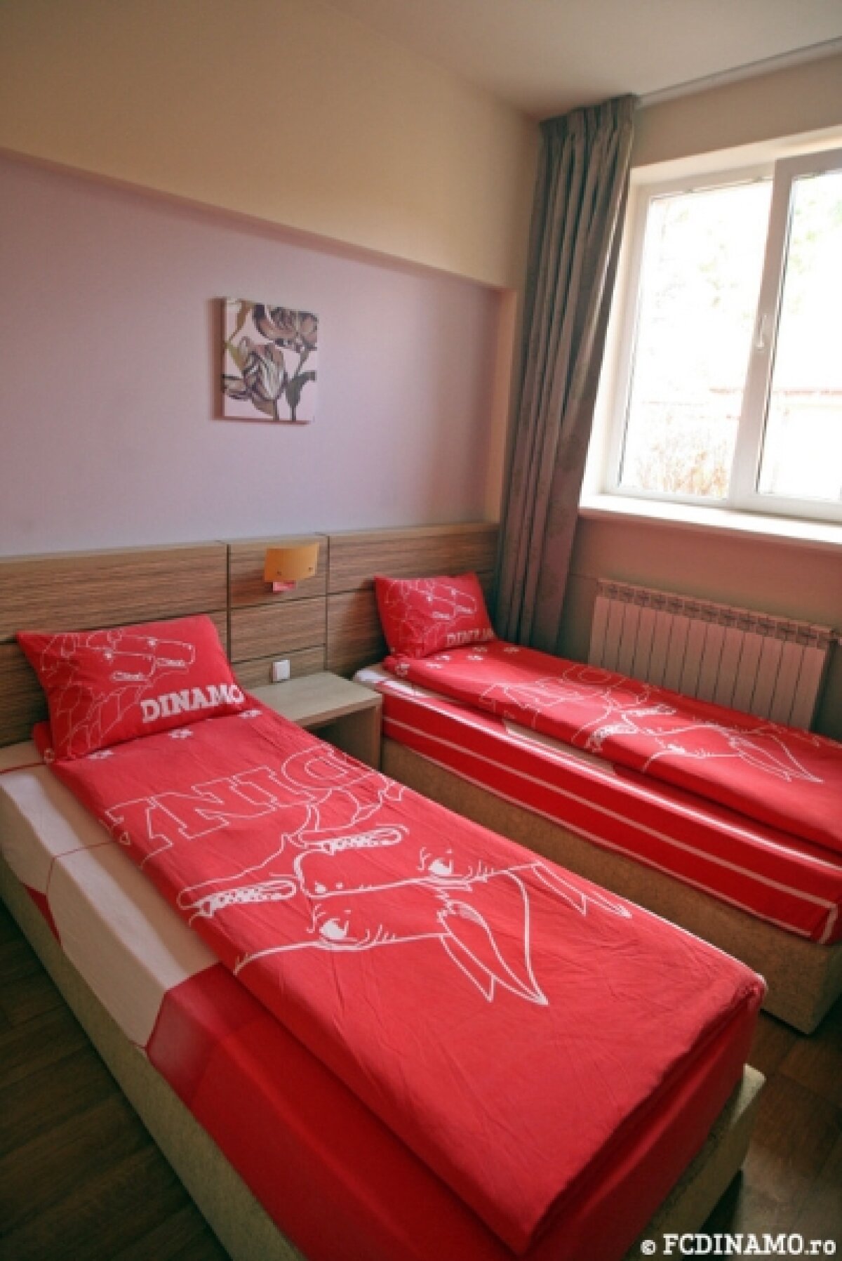 Neplătiţi de mai mult timp, "cîinii" pot dormi liniştiţi » Săftica arată ca un hotel de lux