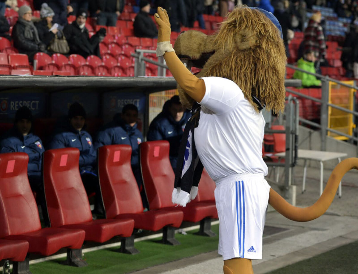 FOTO Au încins focul în casa de gheaţă! » 700 de stelişti au fost alături de echipa lui Reghe la meciul din Copenhaga