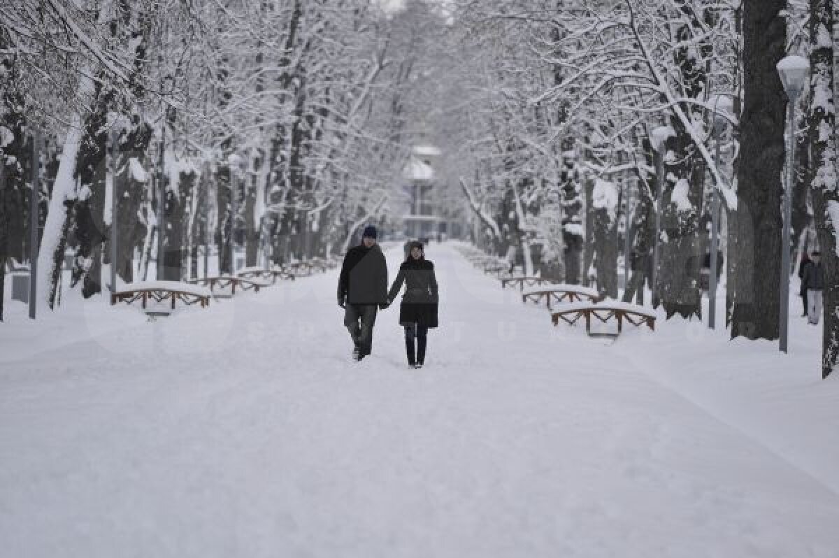VIDEO şi FOTO Campioana pe val » CFR Cluj a urcat pe 5 după 3-2 cu Ceahlăul