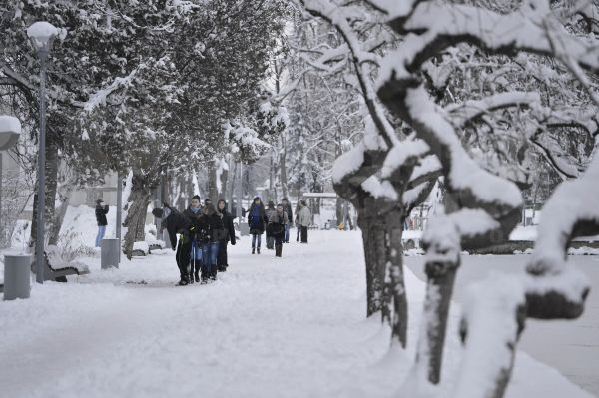 VIDEO şi FOTO Campioana pe val » CFR Cluj a urcat pe 5 după 3-2 cu Ceahlăul