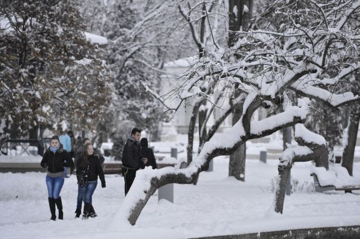 VIDEO şi FOTO Campioana pe val » CFR Cluj a urcat pe 5 după 3-2 cu Ceahlăul
