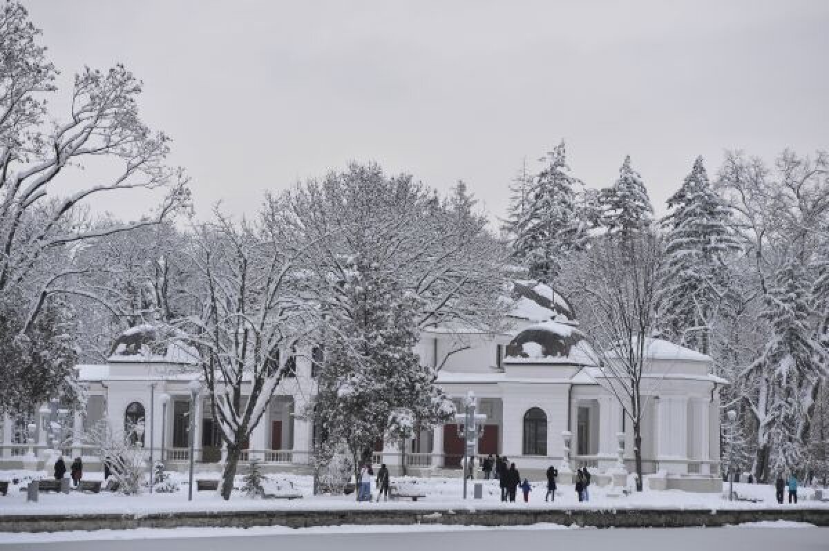 VIDEO şi FOTO Campioana pe val » CFR Cluj a urcat pe 5 după 3-2 cu Ceahlăul