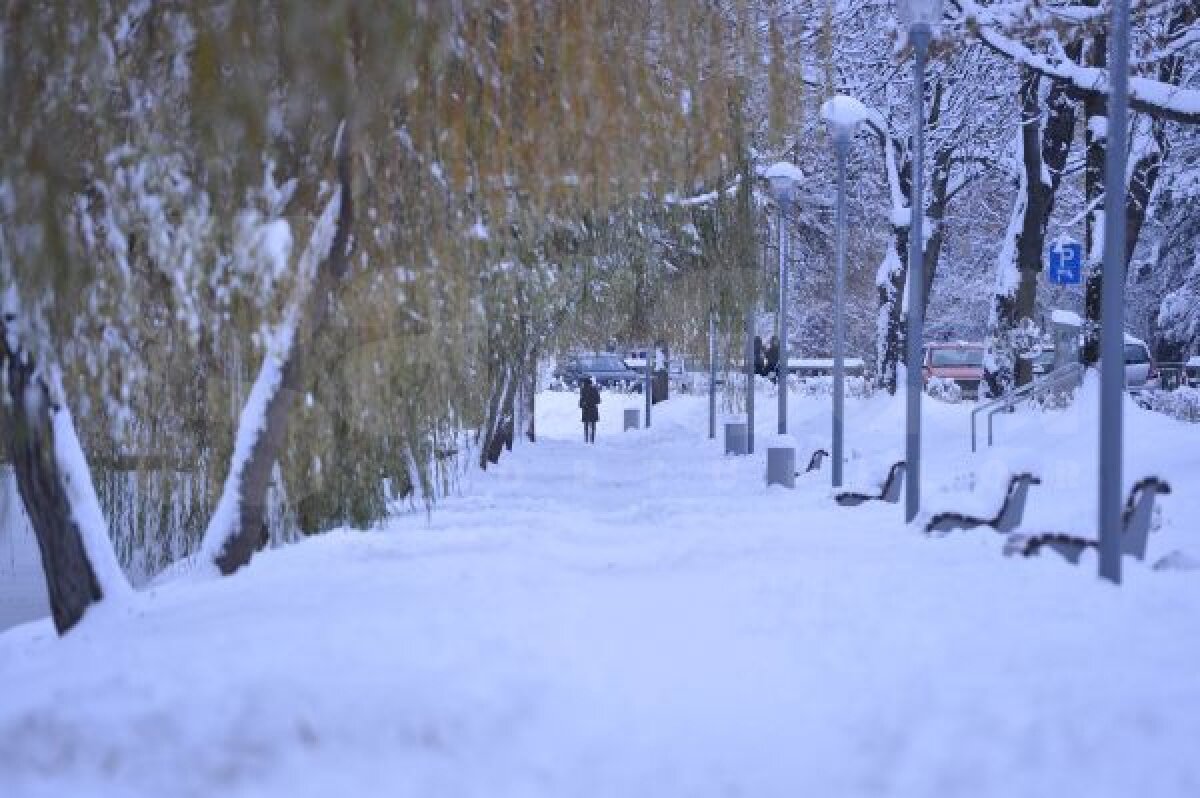 VIDEO şi FOTO Campioana pe val » CFR Cluj a urcat pe 5 după 3-2 cu Ceahlăul