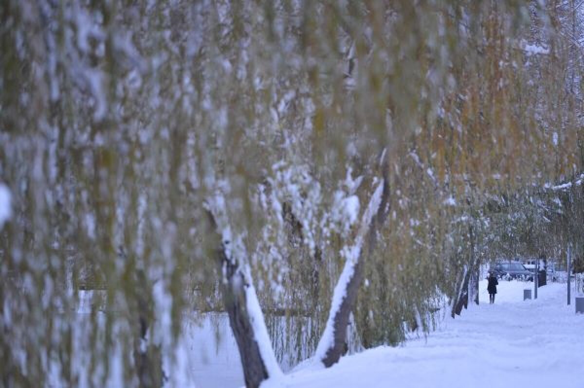 VIDEO şi FOTO Campioana pe val » CFR Cluj a urcat pe 5 după 3-2 cu Ceahlăul