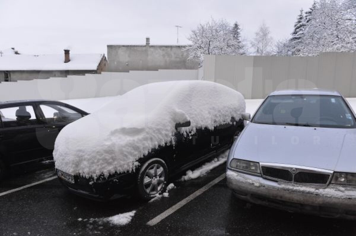 VIDEO şi FOTO Campioana pe val » CFR Cluj a urcat pe 5 după 3-2 cu Ceahlăul
