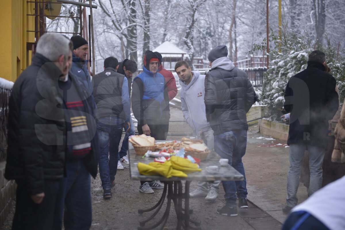 FOTO şi VIDEO Steliştii au tăiat porcul şi sărbătoresc locul 1 cu lăutari » Reghe: "Facem o petrecere cum n-a mai fost"