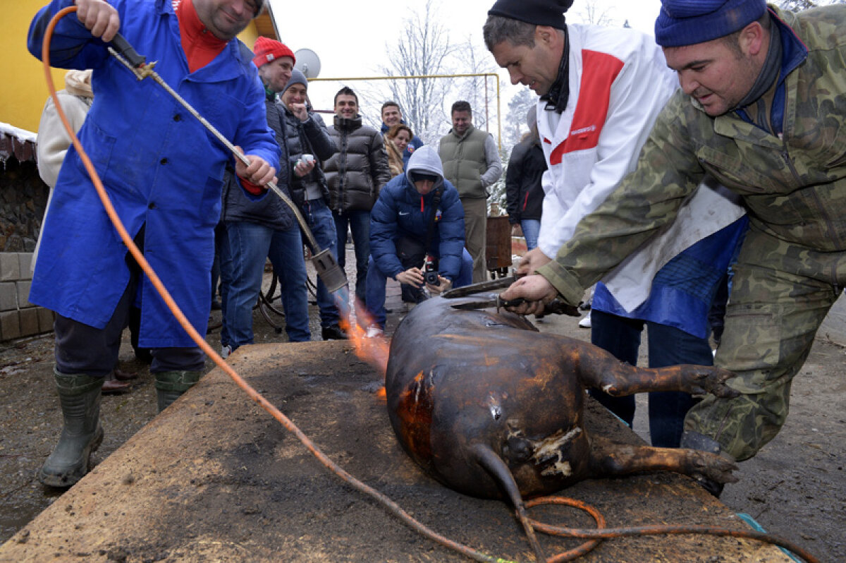 FOTO&VIDEO Şorici + lăutari! » Steliştii au sărbătorit în mod tradiţional victoria cu Astra