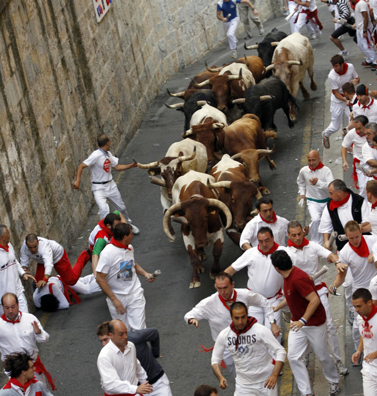Sfaturi cu sania din Argentina » "Curajul de a reuşi" se înscrie în gama cărţilor motivaţionale