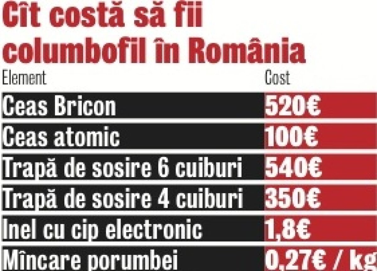 FOTO Tatăl porumbeilor » Alexandru Dinicu e unul dintre cei mai apreciaţi şi experimentaţi columbofili români
