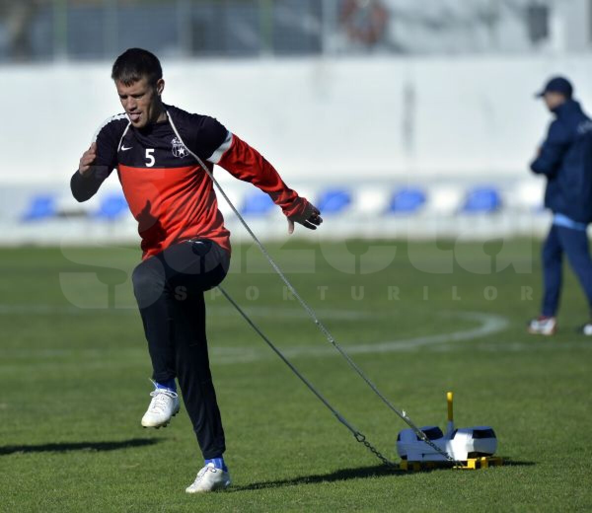 FOTO Au arat terenul » Steliştii au transpirat din greu, fiind nevoiţi să tragă o greutate de 20 de kilograme