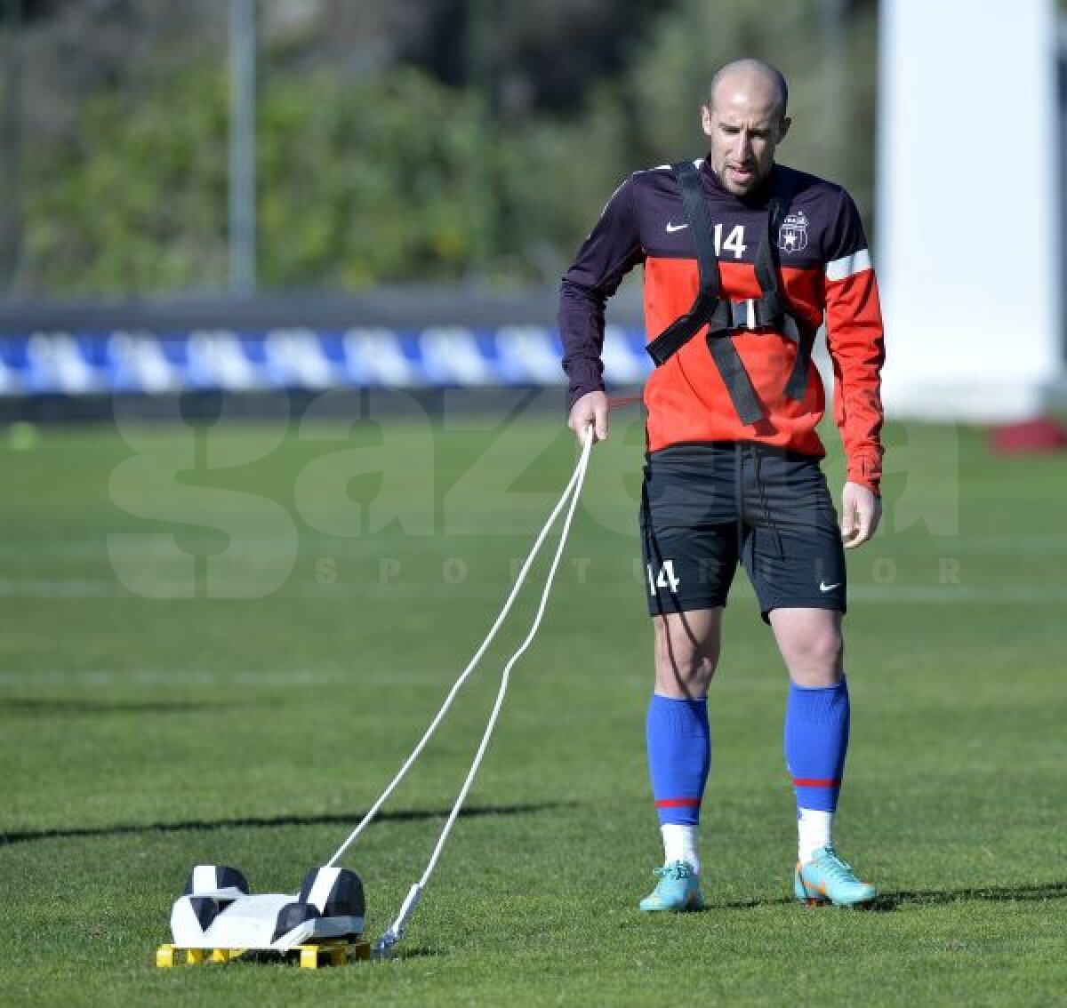 FOTO Au arat terenul » Steliştii au transpirat din greu, fiind nevoiţi să tragă o greutate de 20 de kilograme