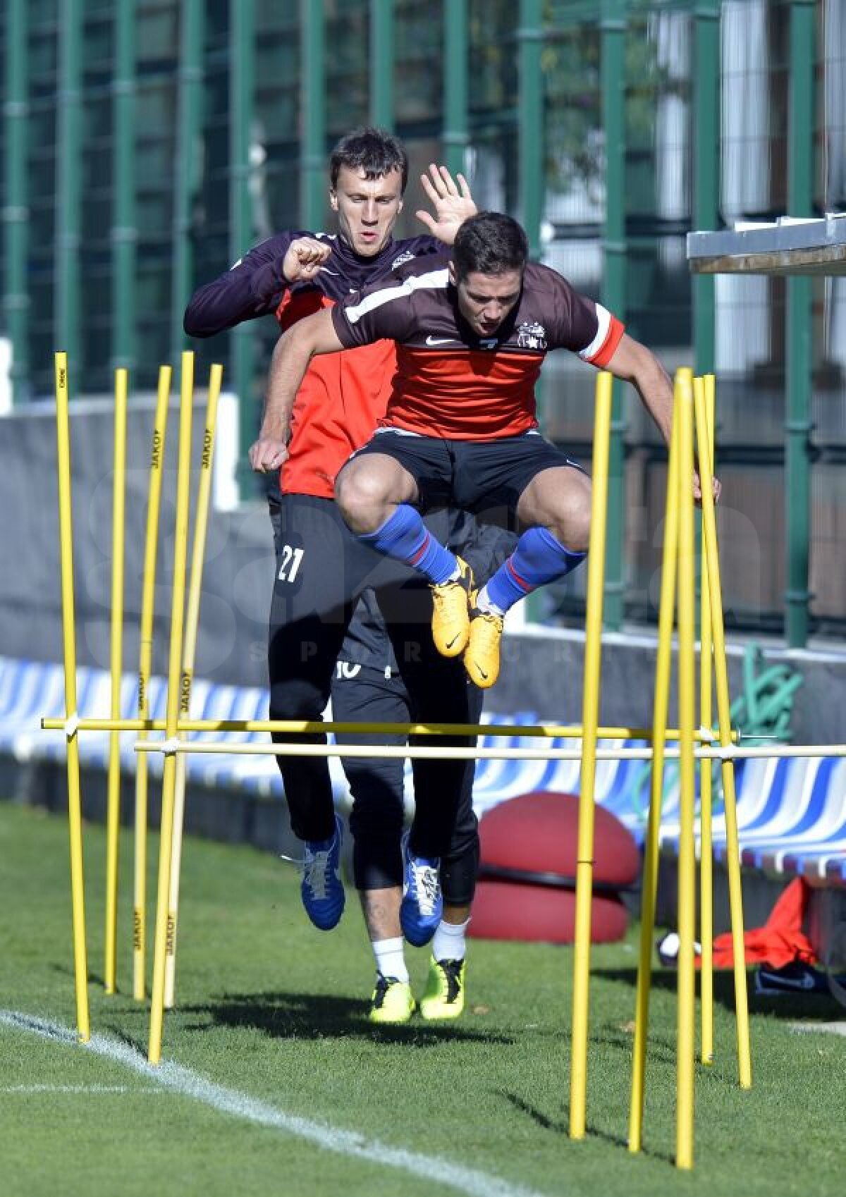 FOTO Au arat terenul » Steliştii au transpirat din greu, fiind nevoiţi să tragă o greutate de 20 de kilograme