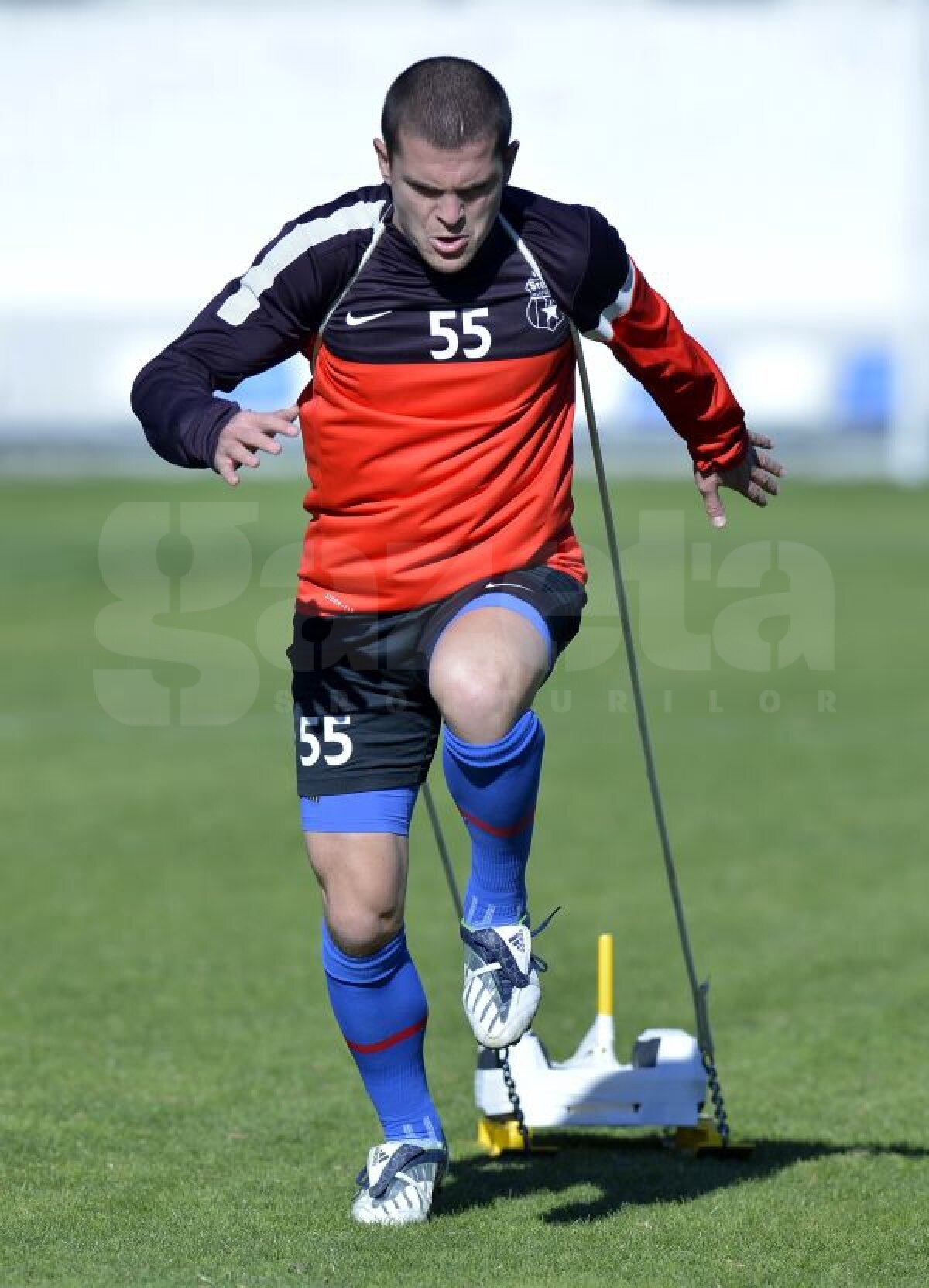 FOTO Au arat terenul » Steliştii au transpirat din greu, fiind nevoiţi să tragă o greutate de 20 de kilograme