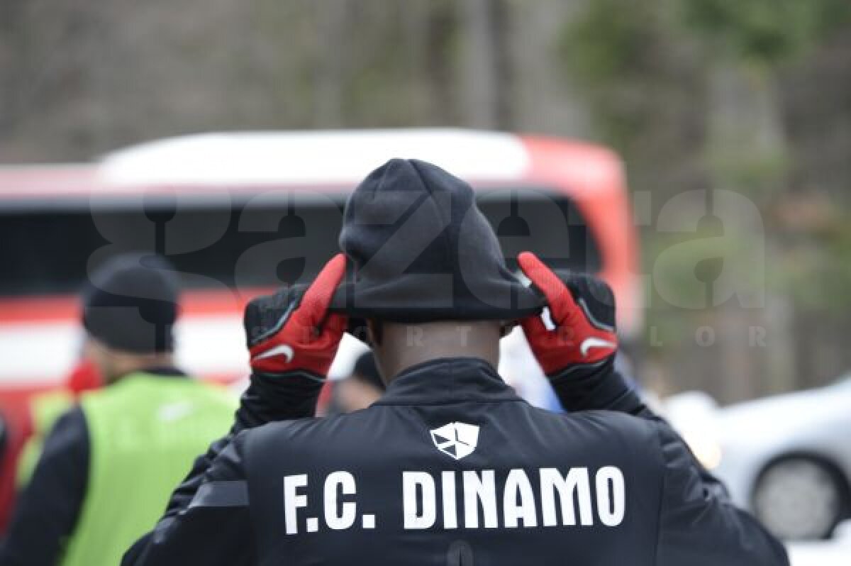 FOTO Efort cu zîmbetul pe buze » "Cîinii" au testat pantele din Poiană