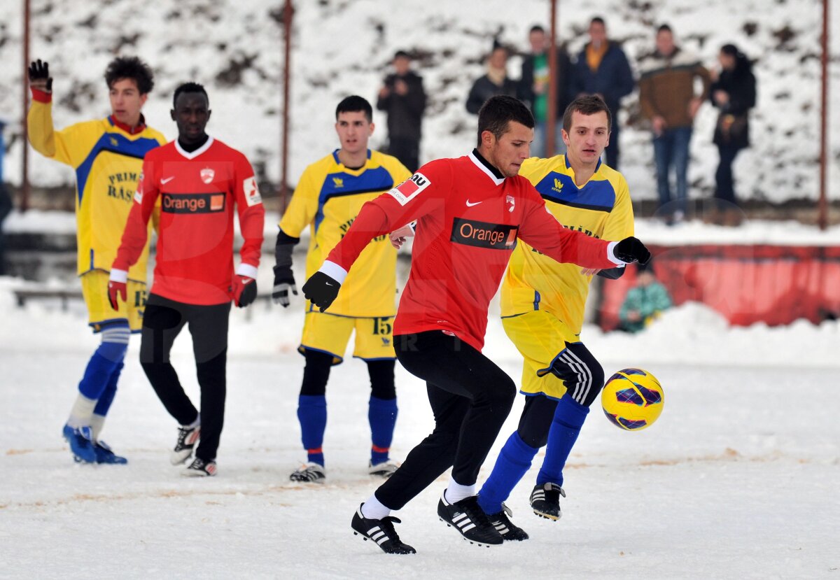 FOTO Dinamo - FC Rîşnov 8-1 » "Cîinii" s-au distrat în primul meci din 2013