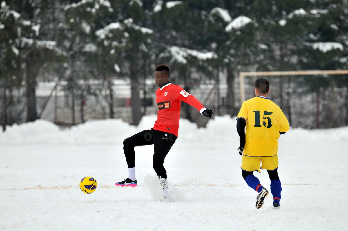 FOTO Dinamo - FC Rîşnov 8-1 » "Cîinii" s-au distrat în primul meci din 2013