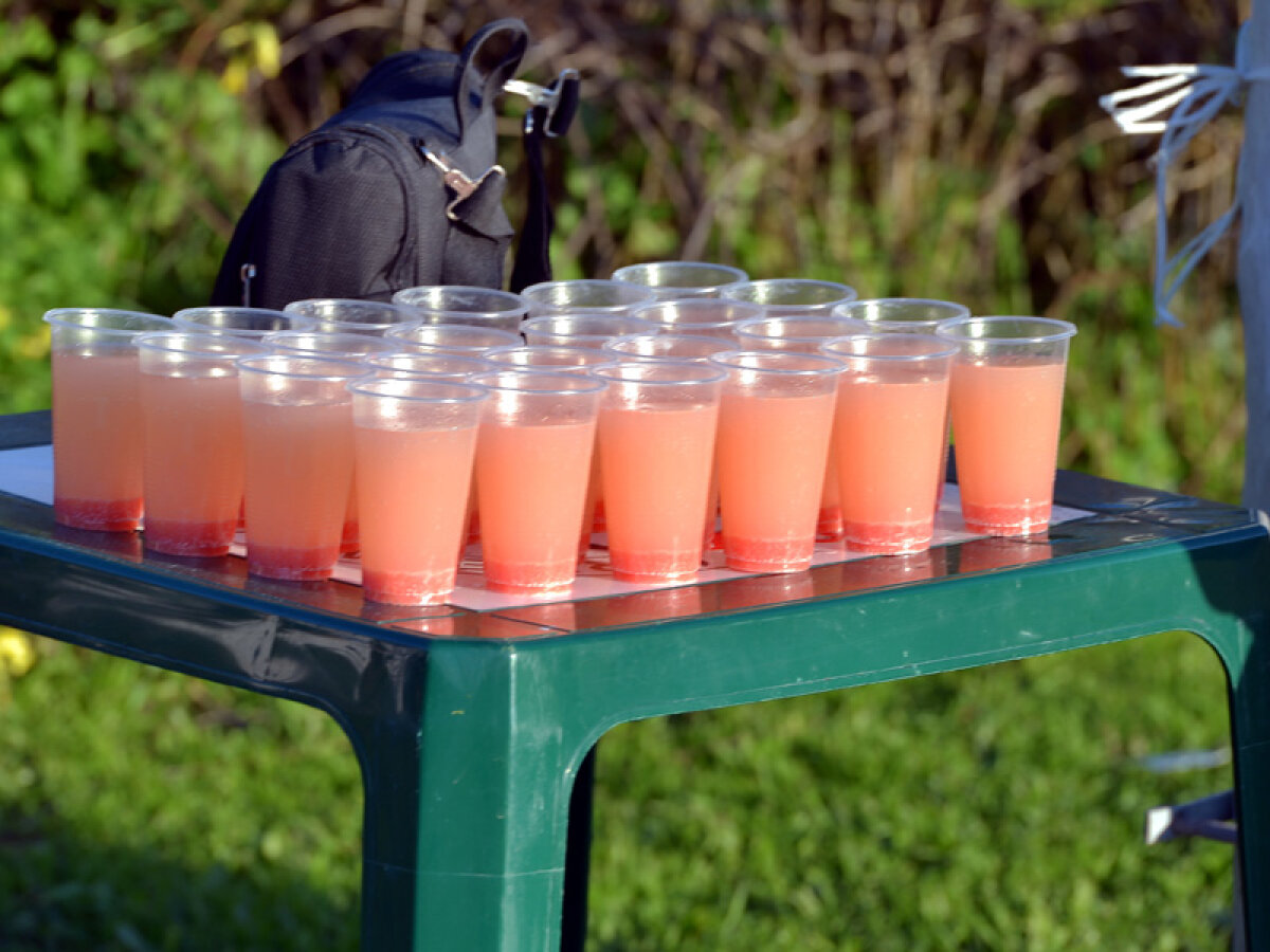 FOTO Insolvenţa n-a trecut vama » Rapidiştii se antrenează în Spania cu zîmbetul pe buze