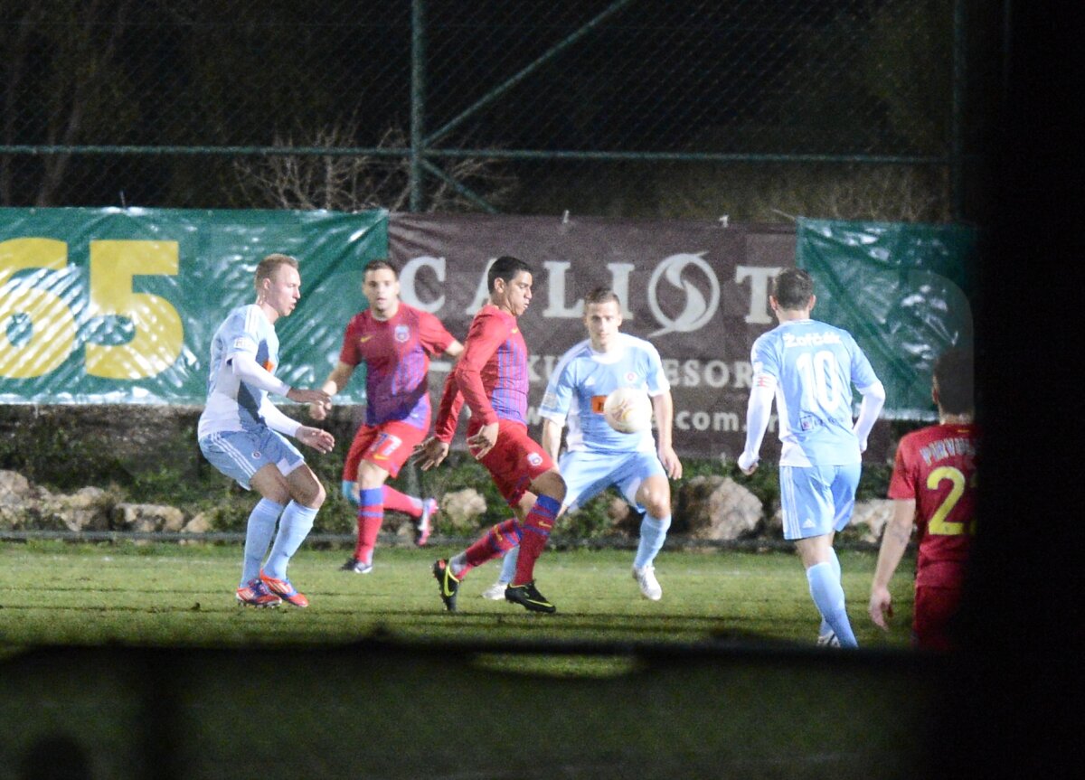 GALERIE FOTO Steaua văzută din copac!