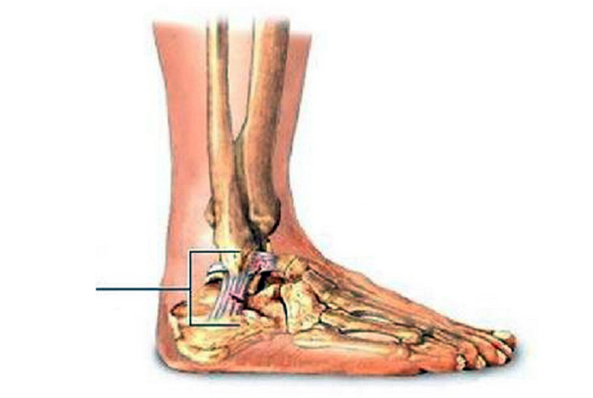 Au inventat o accidentare pentru Rusescu? » Oficialii stelişti sînt bănuiţi că n-au vrut să îl lase pe atacant la naţională