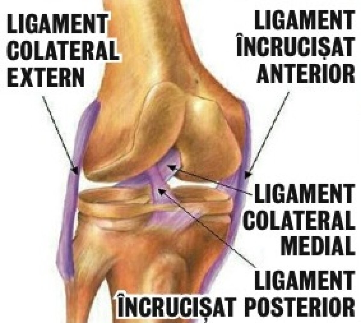 VIDEO MiliK.O! » Dramă pe ”Meazza”: Diego Milito şi-a distrus genunchiul stîng cu CFR Cluj (2-0)