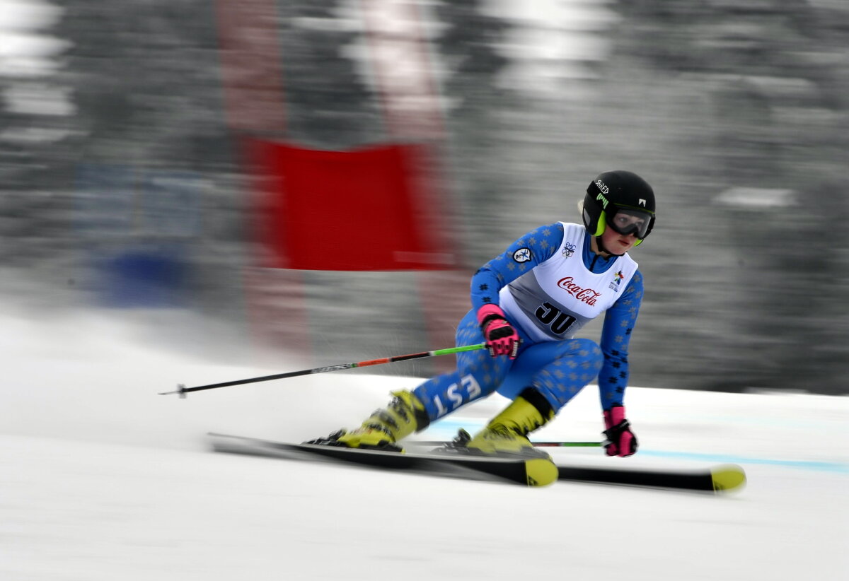 GALERIE FOTO 15 imagini din ziua a doua de la FOTE 2013