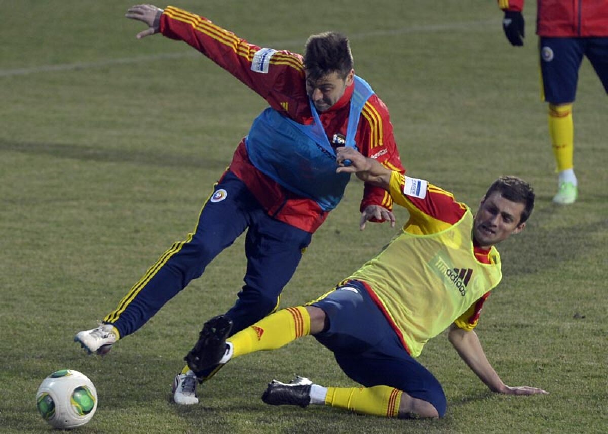 FOTO Piţurcă merge pe mîna steliştilor » Tănase şi Rusescu titulari! Cum va arăta naţionala cu Ungaria