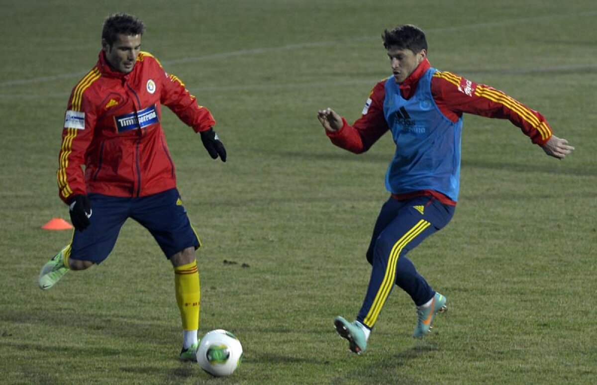 FOTO Piţurcă merge pe mîna steliştilor » Tănase şi Rusescu titulari! Cum va arăta naţionala cu Ungaria