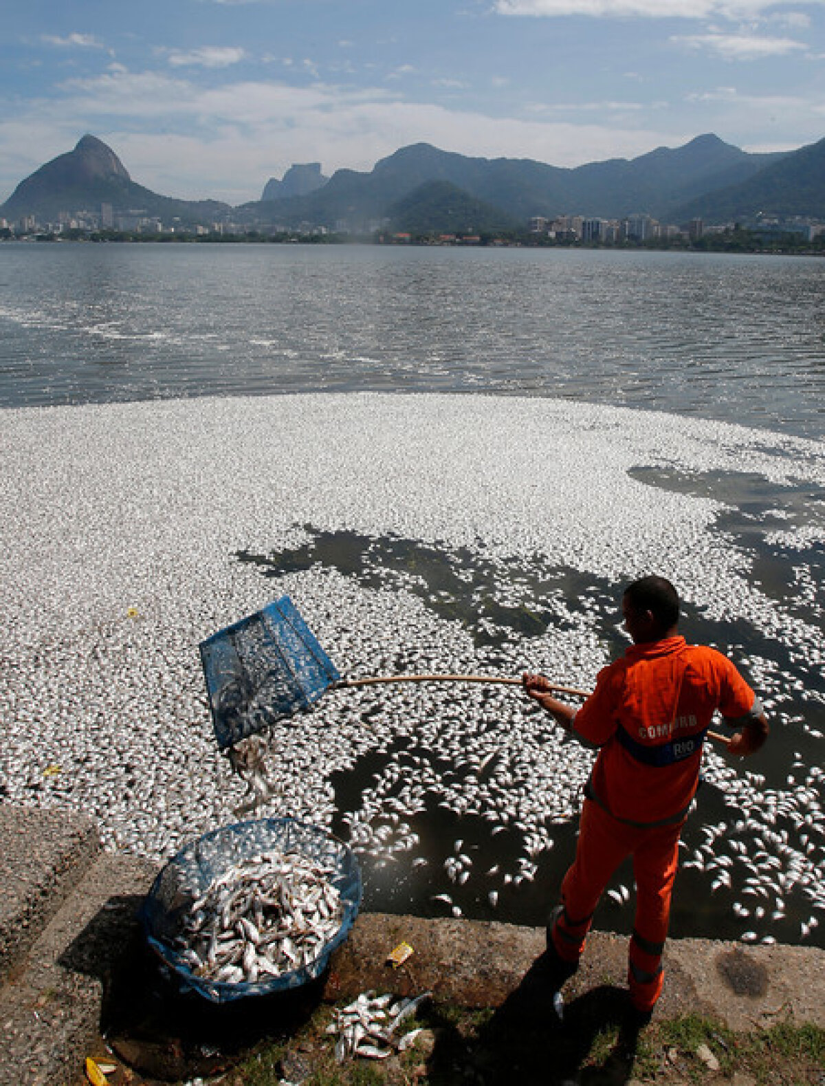 GALERIE FOTO 65 de tone de peşti morţi pe lacul olimpic din Rio de Janeiro