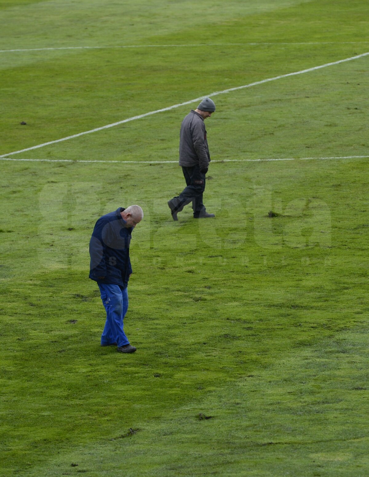 FOTO Uniţi împotriva ploii şi a gazonului prost » Tricolorii au efectuat antrenamentul oficial