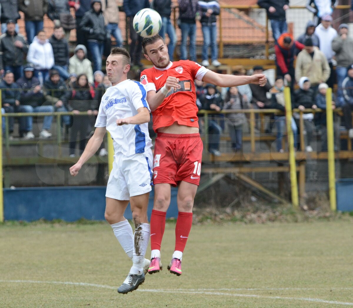FOTO şi VIDEO ”Cîinii” sînt mai iuţi ca Pegasul! Ai lui Ţălnar au încălecat pe Mobre şi-au făcut 8-0 la Zărneşti