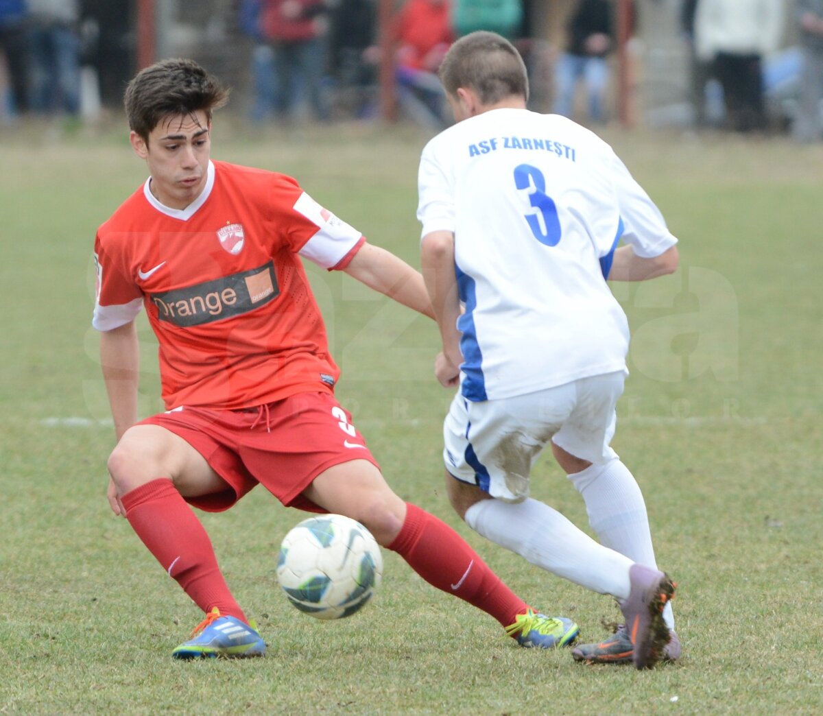 FOTO şi VIDEO ”Cîinii” sînt mai iuţi ca Pegasul! Ai lui Ţălnar au încălecat pe Mobre şi-au făcut 8-0 la Zărneşti