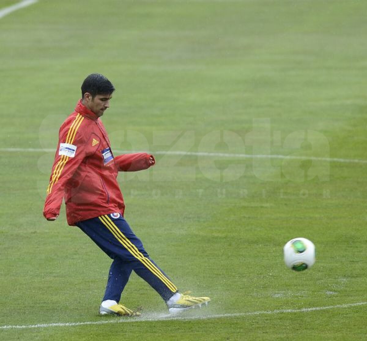 Ungaria - România se joacă azi, ora 21:30, pe un gazon imposibil! Ce jucători aruncă în luptă Piţurcă