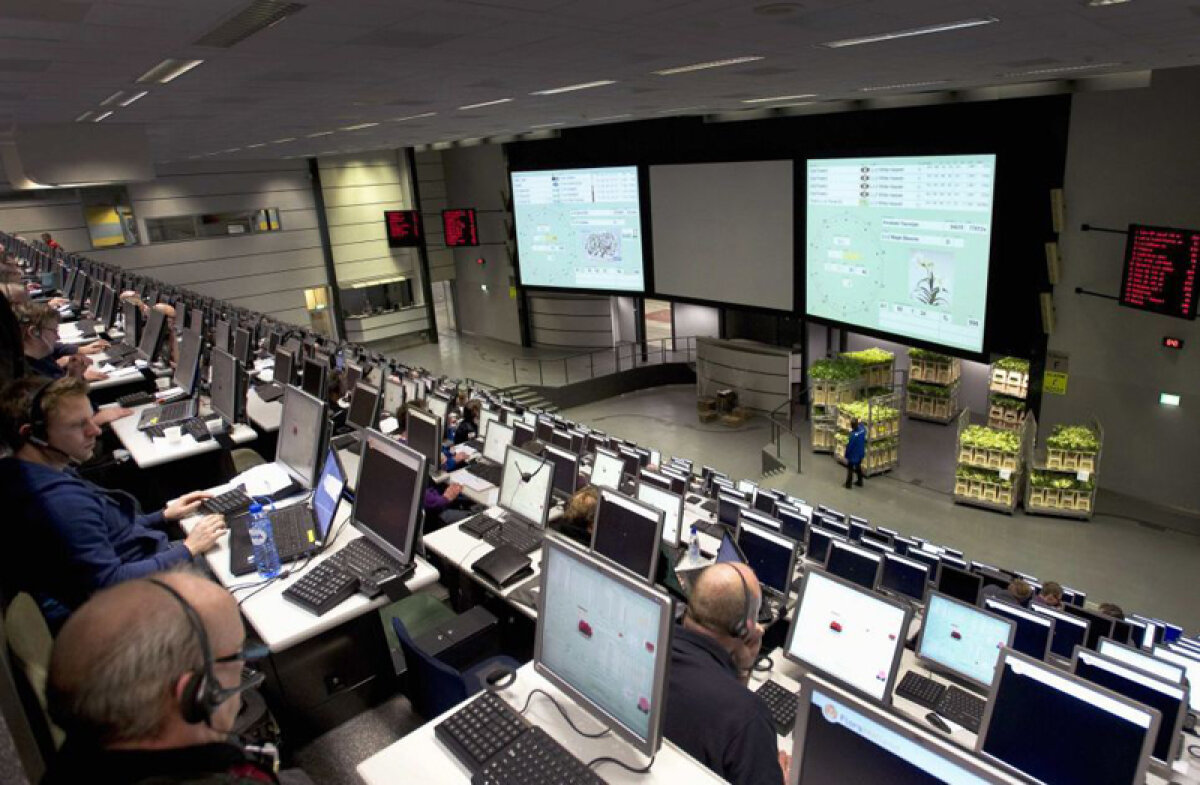 FOTO Paradisul petalelor » În vizită la cea mai mare bursă de flori din lume