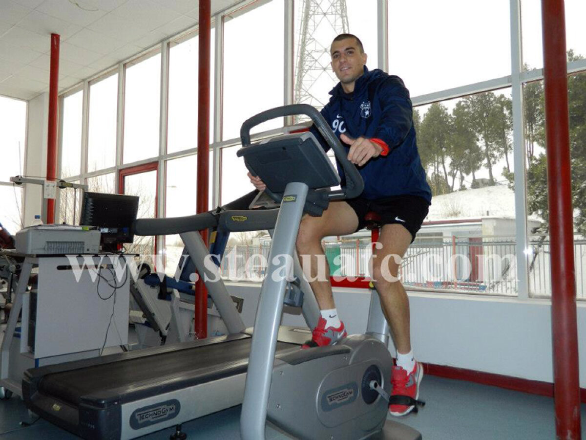 Nikolici de zi, Nikolici de noapte » Atacantul Stelei a fost din nou surprins în club