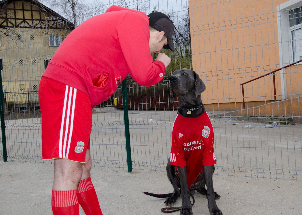 FOTO ŞI VIDEO Piaţa Sfatului Cormoranilor! Fanii lui Liverpool din România au făcut show la Braşov