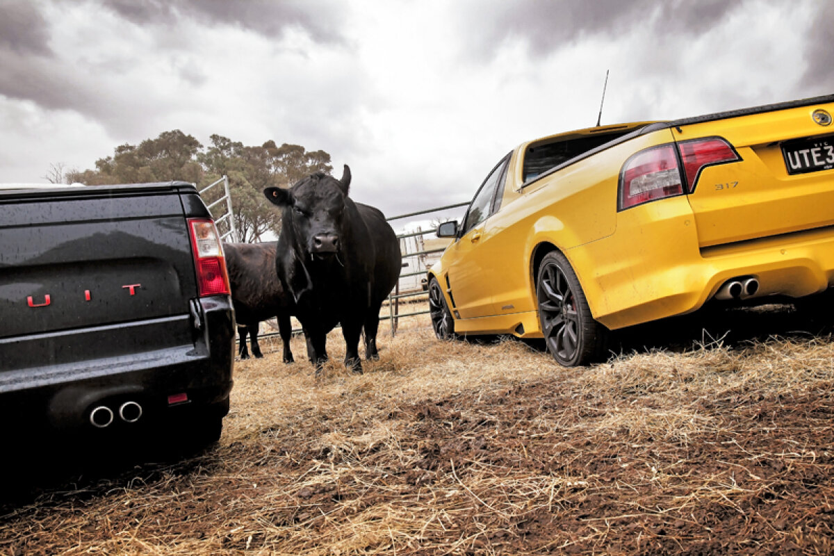 FOTO În jurul lumii » A doua parte a expediţiei făcute de TopGear pe cele şase continente ale planetei