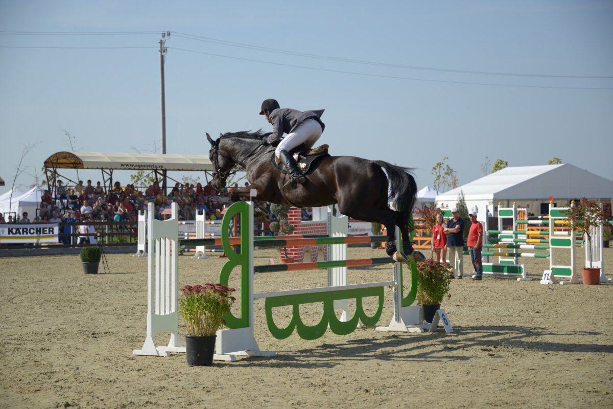 Concurs internaţional de echitaţie în România: află toate detaliile!